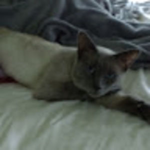 Meet your Posher, Mary